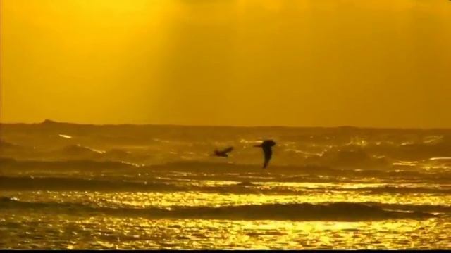 Bird Island Lodge, Seychelles смотреть онлайн