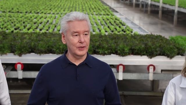 Визит С.Собянина в Агрохолдинг "Московский" 18 октября 2018 года смотреть онлайн