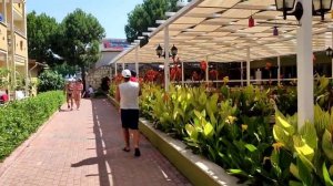 Обзор отеля Lonicera world