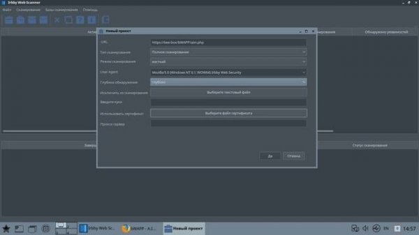 Irbby Web Scanner for Astra Linux. Часть 2. Первый проект.