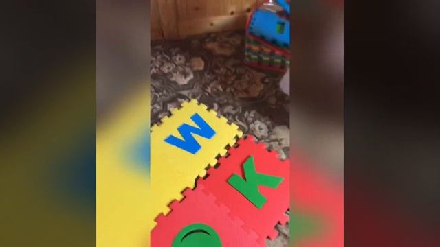 #2 VLOG собираем коврик на даче смотреть онлайн