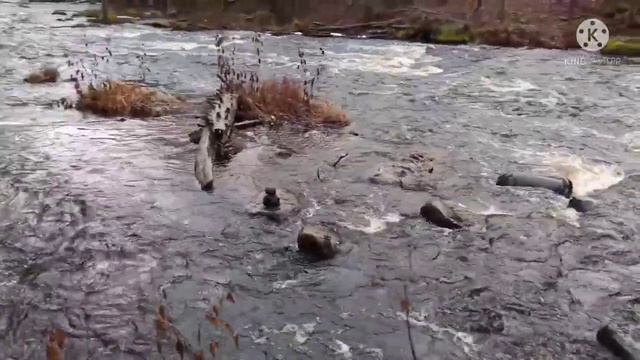 Линдуловская роща смотреть онлайн