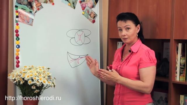 Боль в правом боку при беременности 2 триместр смотреть онлайн