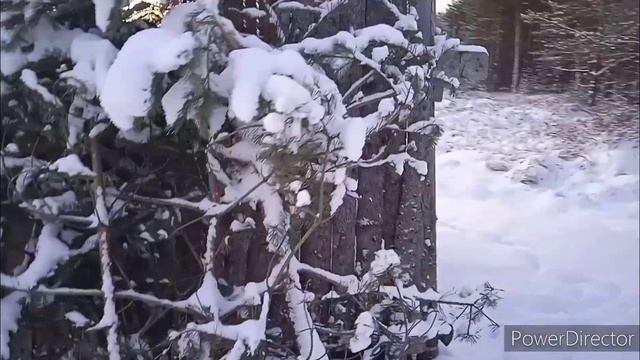 Зимний лес у озера #гуляем #сродителями #охотничий #шалаш #зима2021 #карвинг арт смотреть онлайн