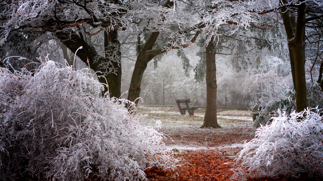 Первый снег _ Р. Жуков Cover смотреть онлайн