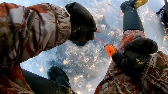 Ловля окуня на балансир 2019. Ловля крупного окуня 2019 / Горбачи смотреть онлайн