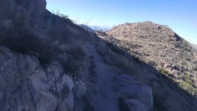 Rigid Rigeline смотреть онлайн