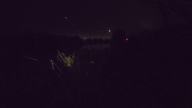 НАЛИМ. ЛОВЛЯ НАЛИМА НА ВЪЮНА И ВЫПОЛЗКА НА НЕБОЛЬШОЙ РЕКЕ.