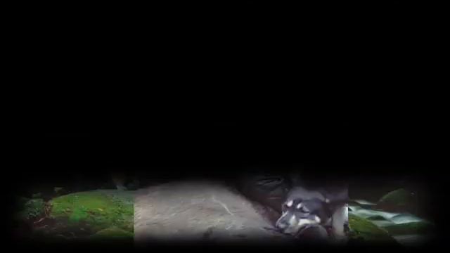 Мало кино... смотреть онлайн