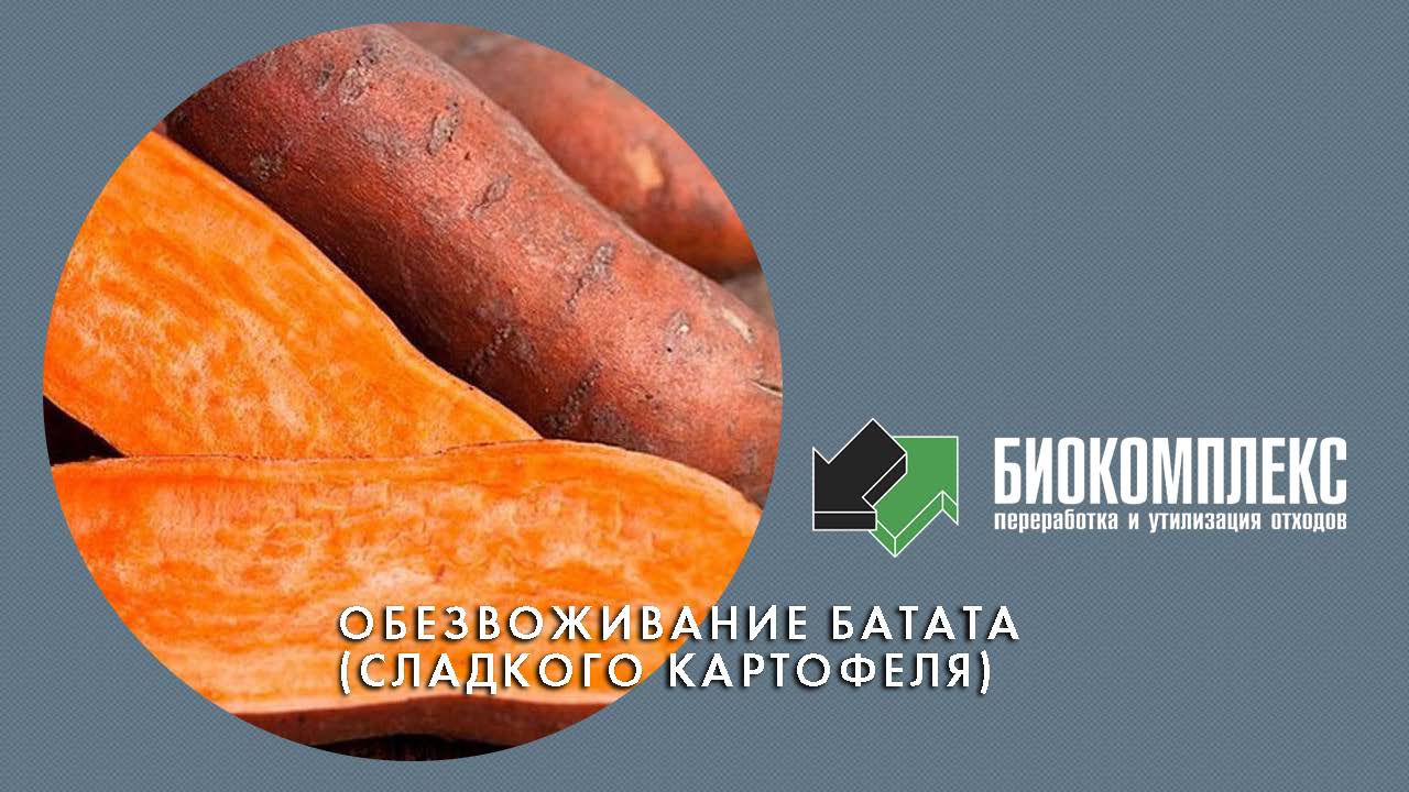 Обезвоживание батата (сладкого картофеля) смотреть онлайн