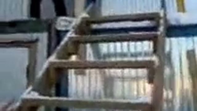 Джексон жив! смотреть онлайн