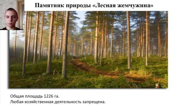 Флора и Заповедные зоны Ульяновской области смотреть онлайн