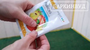 Раёк, КЭ от комплекса болезней  Avgust [ОБЗОР]