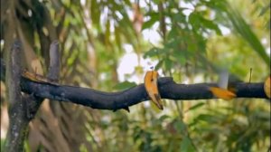 Классическая китайская музыка  -  Вечность (скрипка, эрху, флейта)