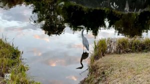 Восстановление нервной системы _ Библия перед сном _ Relaxing