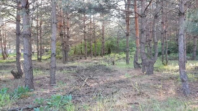 ВЫБИРАЮ "ХУТОР" ДОМ В ЛЕСУ? Жизнь в лесу и новые сложности Часть 1 смотреть онлайн