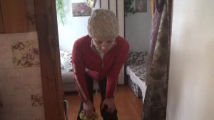 6 соток 31 марта или...одна на даче 4