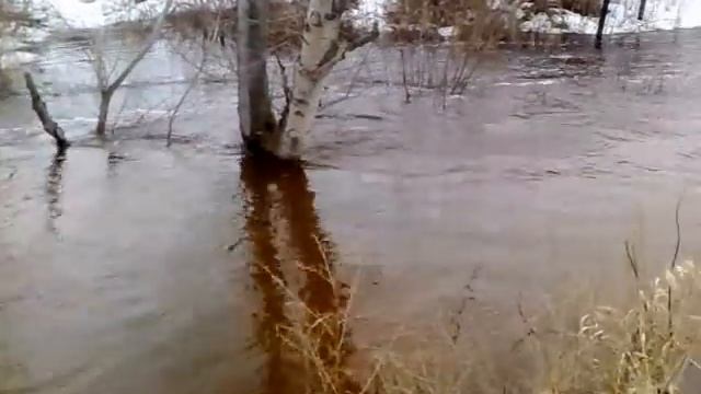 Река Мось 9 апреля 2012, ч.2 смотреть онлайн