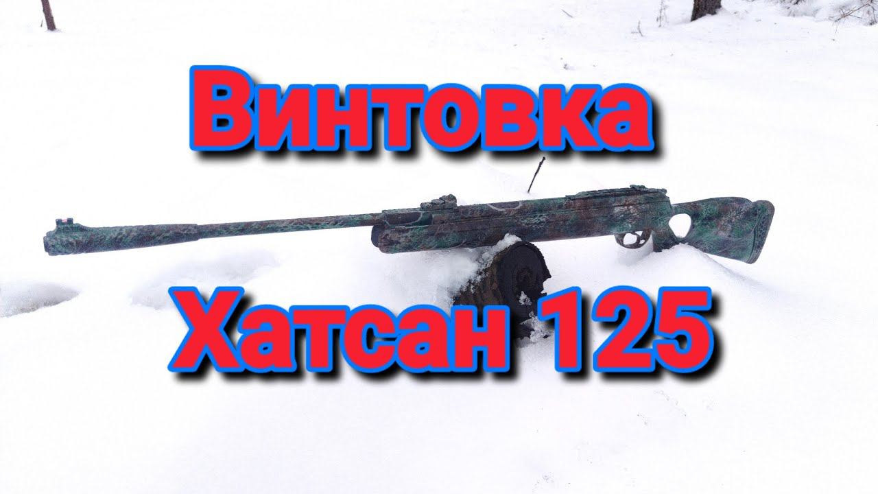 Обзор пневматической винтовки Hatsan 125 смотреть онлайн