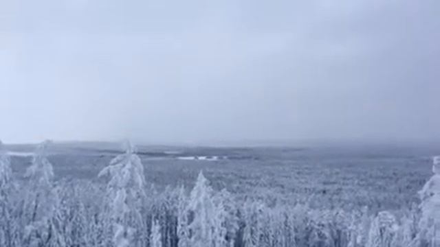 Онега смотреть онлайн