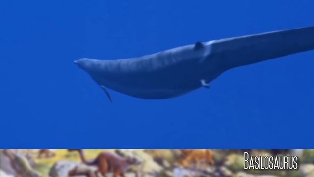 ERAS GEOLÓGICAS 4: Era Cenozoica (1ª parte): El Periodo Paleógeno - El auge de los mamíferos смотреть онлайн
