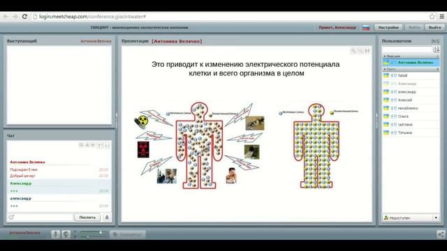 Вебинар Антонины Величко смотреть онлайн