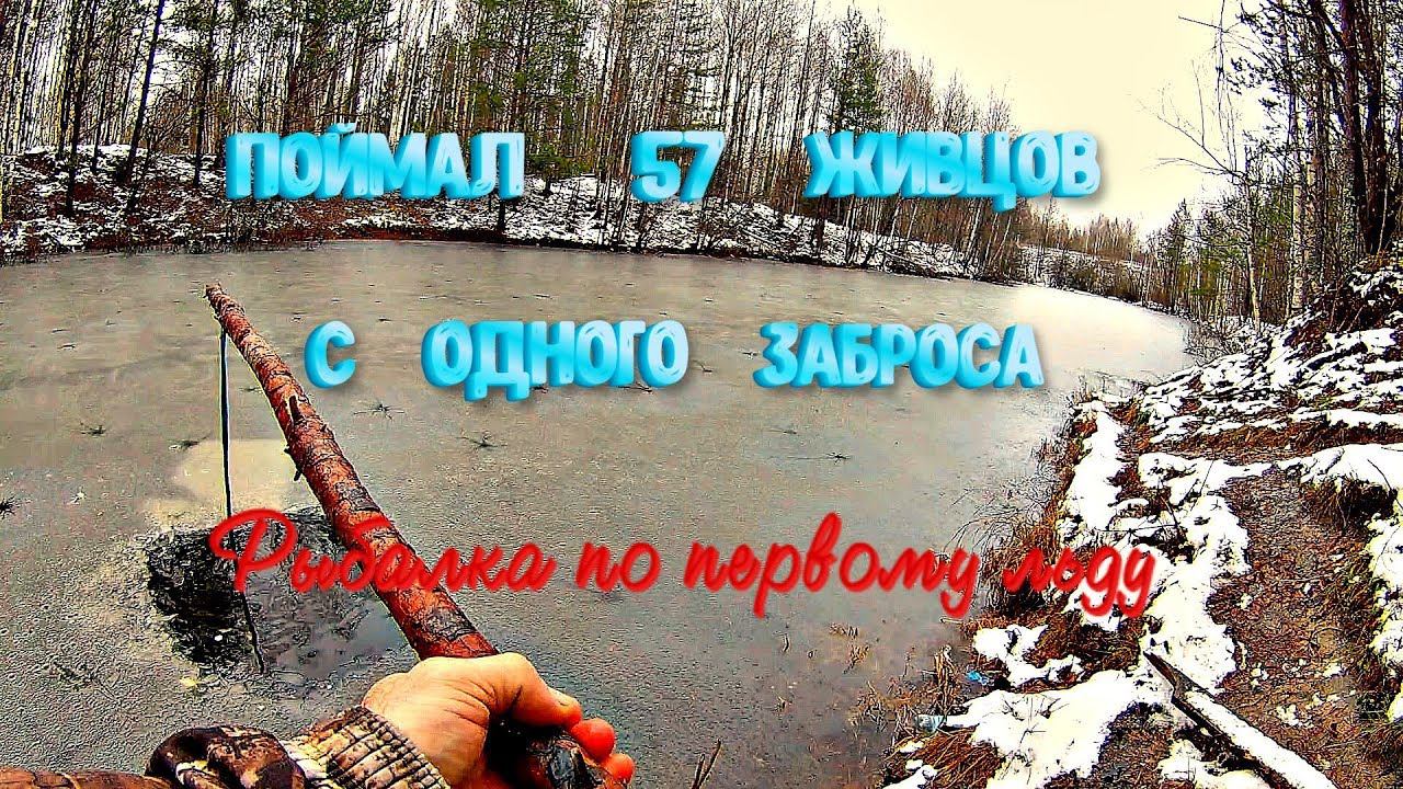 Как наловить живца для зимней рыбалки! Поймал 57 живцов с одного заброса смотреть онлайн
