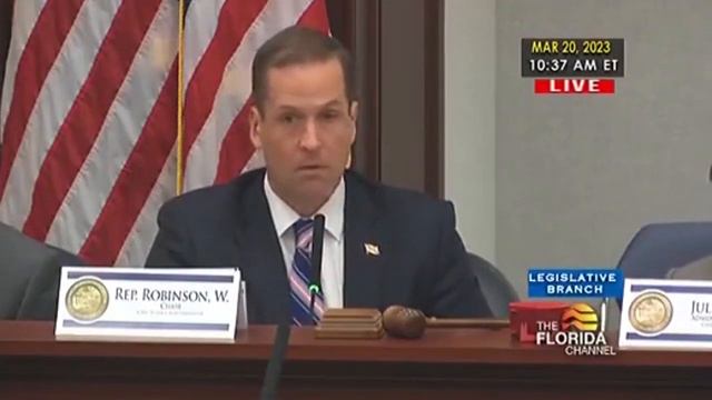 Florida state rep duped into reading out inappropriate fake names during hearing смотреть онлайн