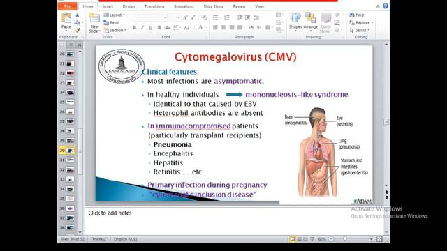 Micro (1). Rhinoviruses, Adenoviruses, CMV, EBV, HIV. смотреть онлайн
