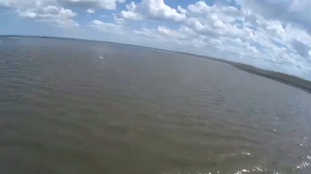 САЗАН В КАСПИИ ЛЕЗЕТ НА БЕРЕГ ПРЯМО НА ПЛЯЖЕ. смотреть онлайн