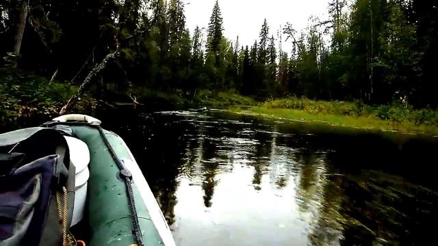 Река Пышега болотоход BAWAD Long Tail Mudmotors Outboard