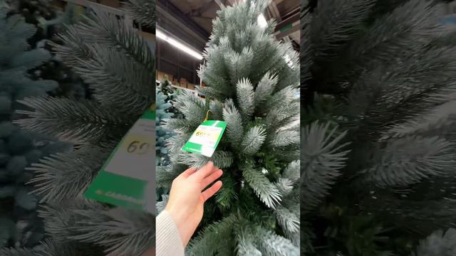 В Материке огромный выбор искусственных ёлок 🎄 от 60 до 300 см #материк смотреть онлайн