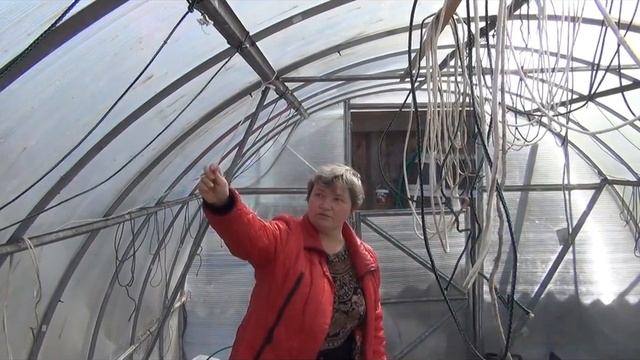 Теплица, секреты урожая