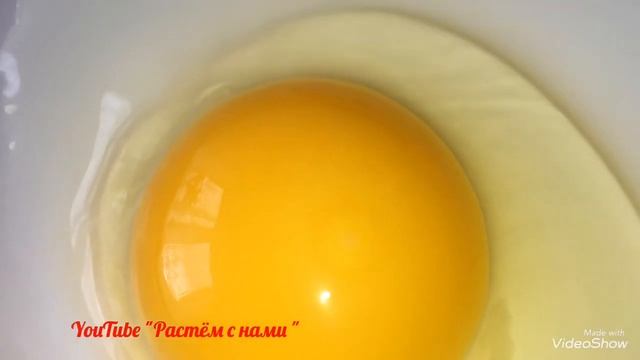 Индюки Хайбрид конвертер стоит ли надеятся на потомство смотреть онлайн