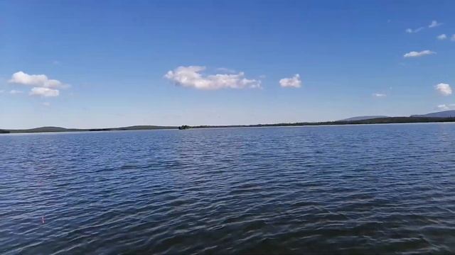 #КЛЕВ КАК ИЗ ПУЛЕМЕТА#ЛОВИМ САВРУШКУ# смотреть онлайн