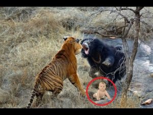 8 ЖИВОТНЫХ КОТОРЫЕ СПАСЛИ ЧЕЛОВЕКУ ЖИЗНЬ!! | RISEME