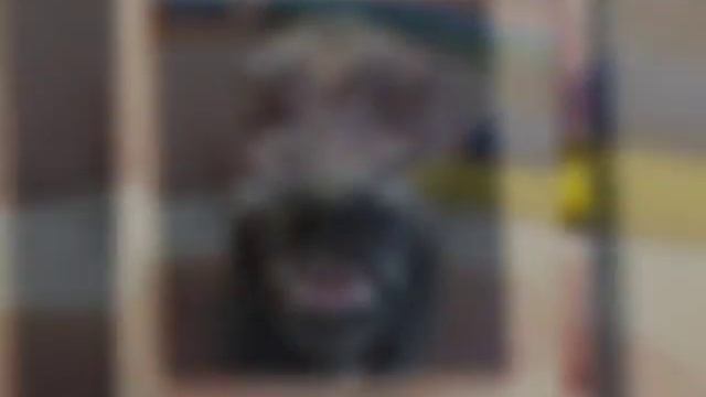 Полимерная глина,фигурка голова фолка.Polimerart своими руками(кулон из полимерной глины) смотреть онлайн