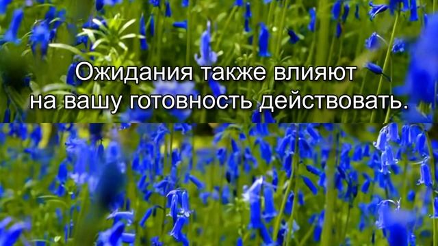 Аффирмации.№168
 Affirmations.№168