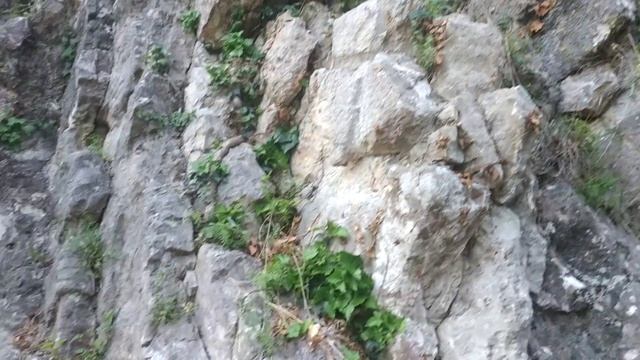 Абхазия, Новый Афон, водопад. смотреть онлайн