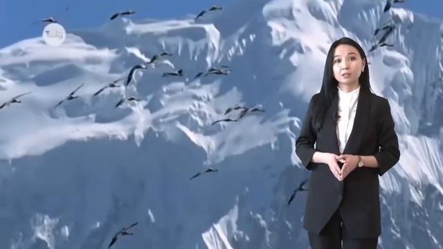 "Ғаламдық экологиялық проблемалар. Қазақстандағы экологиялық проблемалар". Макажанова Р.Р. смотреть онлайн
