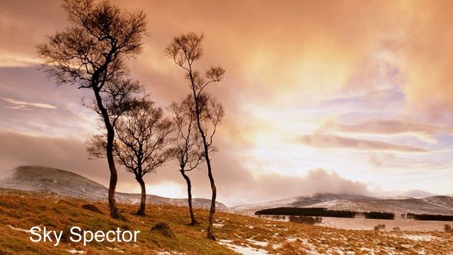 Нисаргадатта Махарадж. Освобождение - это свобода от концепций смотреть онлайн