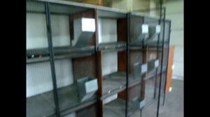 Сварная трех ярусная клетка для кроликов