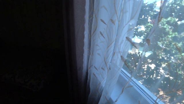 Двухкомнатный номер с балконом на ул. Московской смотреть онлайн