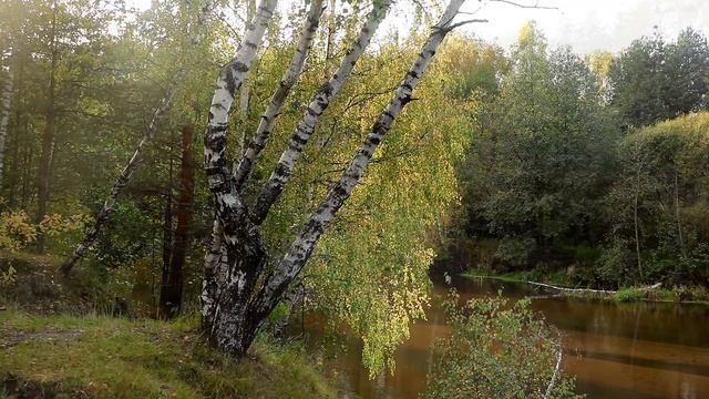 Река Узола. В поисках тихой красоты. Колесим по Нижегородской области смотреть онлайн