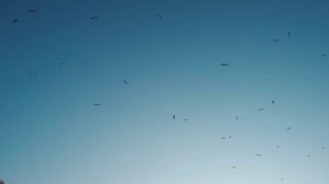 «Не отрекаются любя» - 1-4 серии - (2021) - мелодрама - дата выхода - полное описание серий