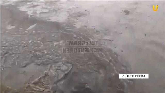 Сильные дожди обрушились на Бузулук, а также Красногвардейский и Новосергиевский районы смотреть онлайн
