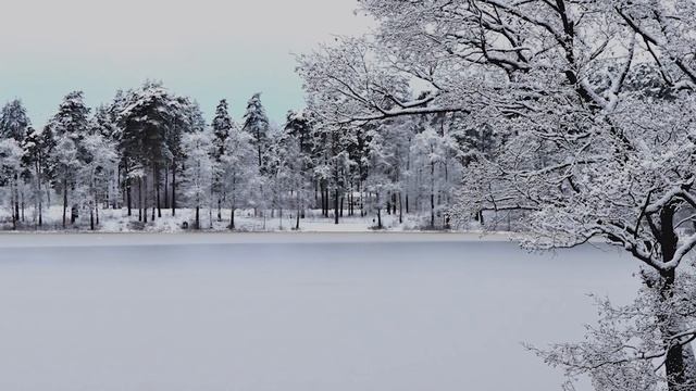 Евангелие дня. Чтимые святые дня. Прп. Илии́ Муромца, Печерского, в Ближних пещерах. (01.01.2021) смотреть онлайн