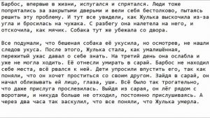 Краткое содержание Барбос и Жулька, Куприн