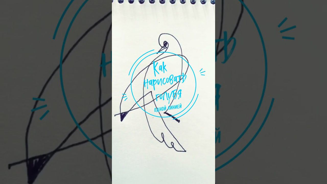 Как нарисовать голубя одной линией. Уроки рисования. Как нарисовать пошагово. смотреть онлайн