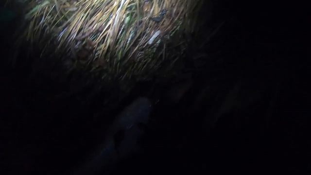 Северная треска. смотреть онлайн